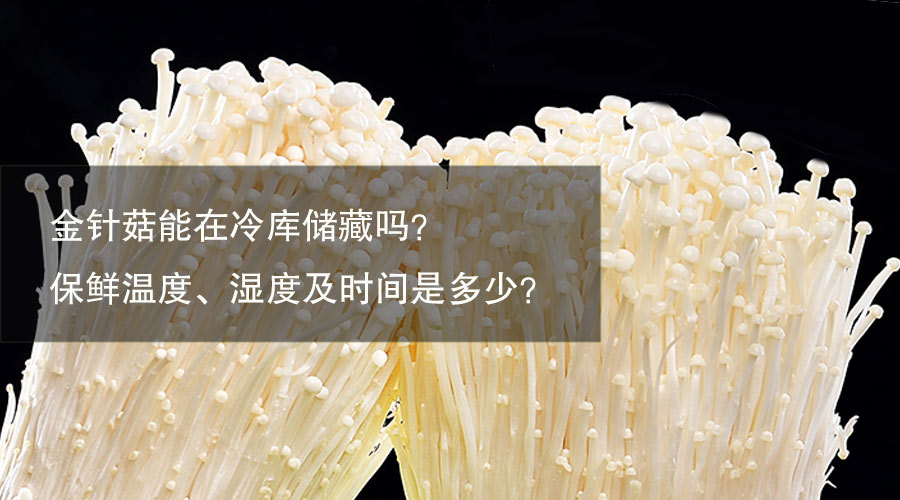 金针菇冷库保鲜温度、相对湿度及时间介绍