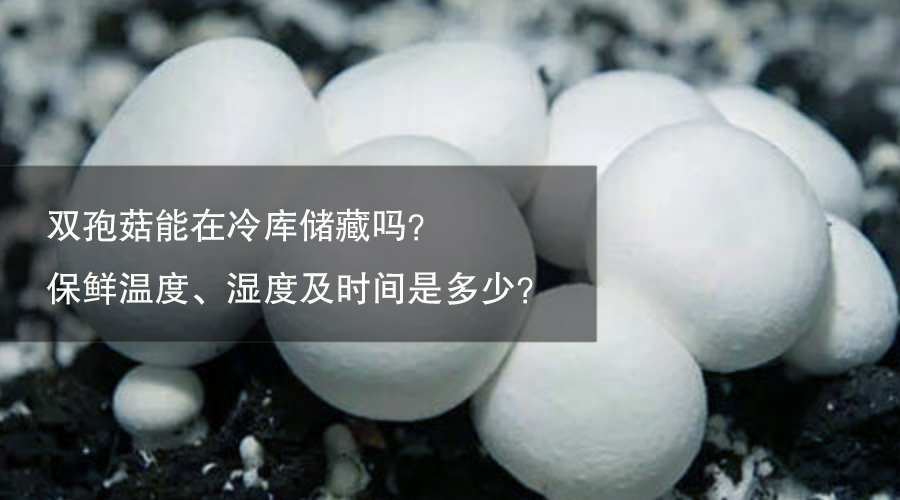 双孢蘑菇冷库保鲜温度、相对湿度及时间介绍