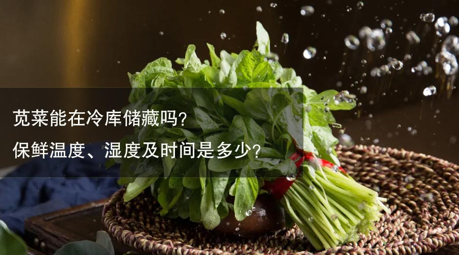 苋菜冷库保鲜温度、相对湿度及时间介绍
