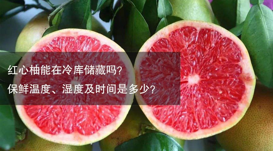红心柚保鲜温度、相对湿度及贮藏时间介绍