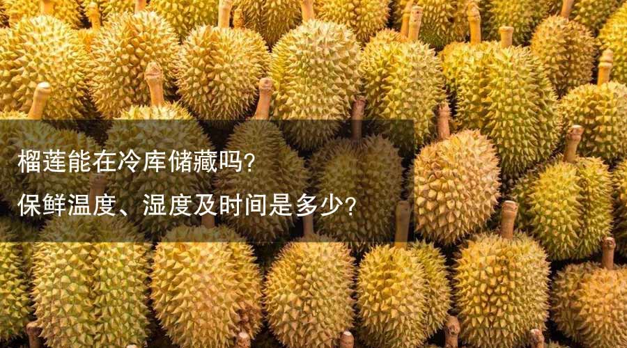榴莲冷库保鲜温度、相对湿度及贮藏时间介绍