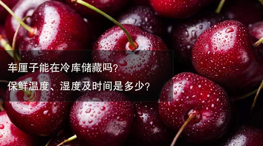 车厘子冷库保鲜温度、相对湿度及时间介绍