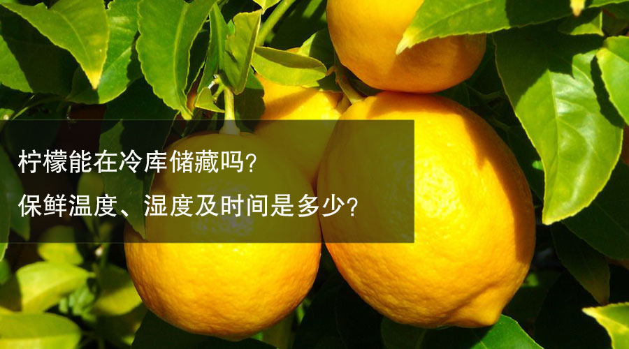 柠檬冷库保鲜温度、湿度及时间介绍