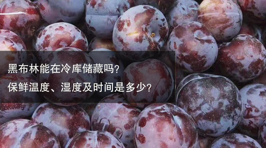 黑布林冷库保鲜温度、湿度及时间介绍
