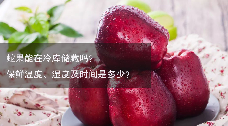 蛇果冷库温度、湿度及时间介绍