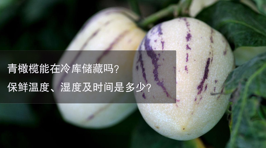 人参果冷库温度、湿度及时间介绍