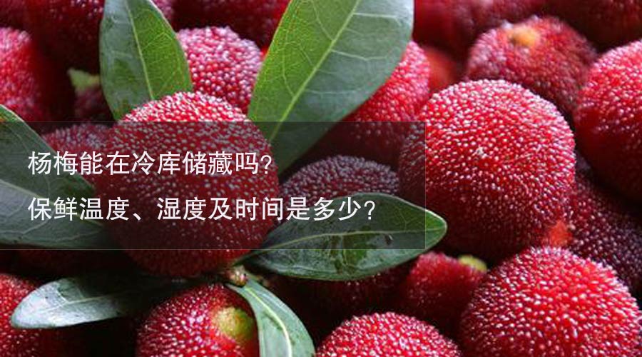 杨梅冷库温度、湿度及时间介绍