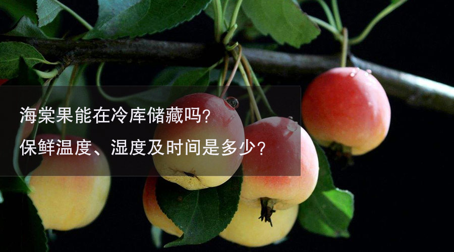 海棠果冷库温度、湿度及时间介绍