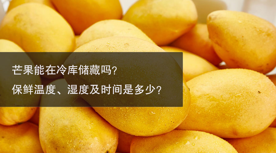 芒果冷库保鲜温度、相对湿度及贮藏时间介绍