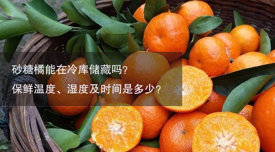 砂糖橘冷库温度、湿度及时间介绍