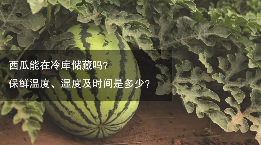 西瓜冷库保鲜温度、湿度及时间介绍
