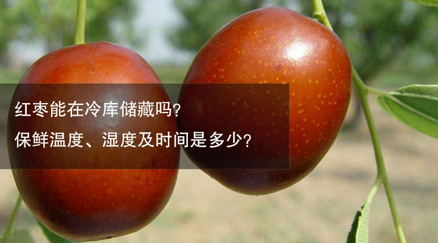红枣冷库保鲜温度、湿度及时间介绍