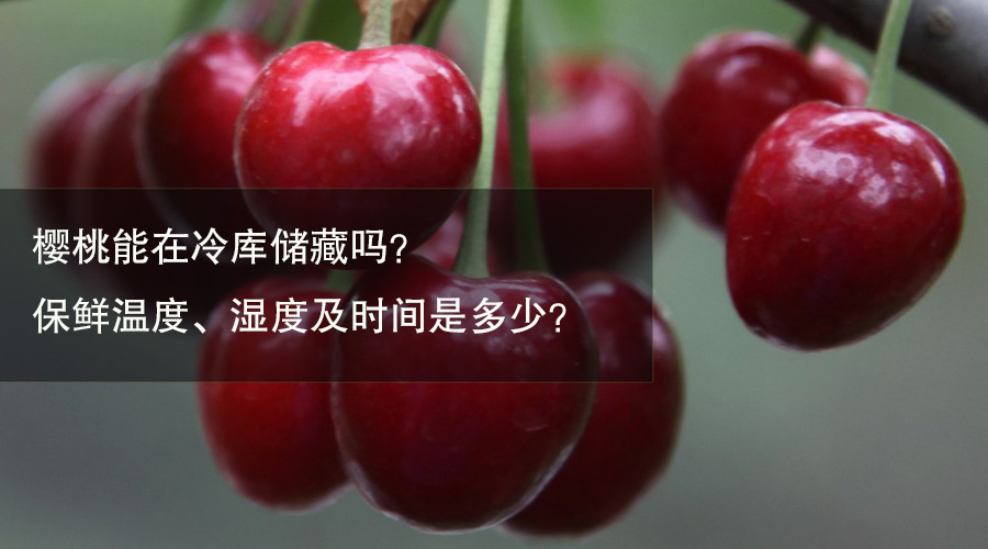 樱桃冷库保鲜温度、湿度及时间介绍