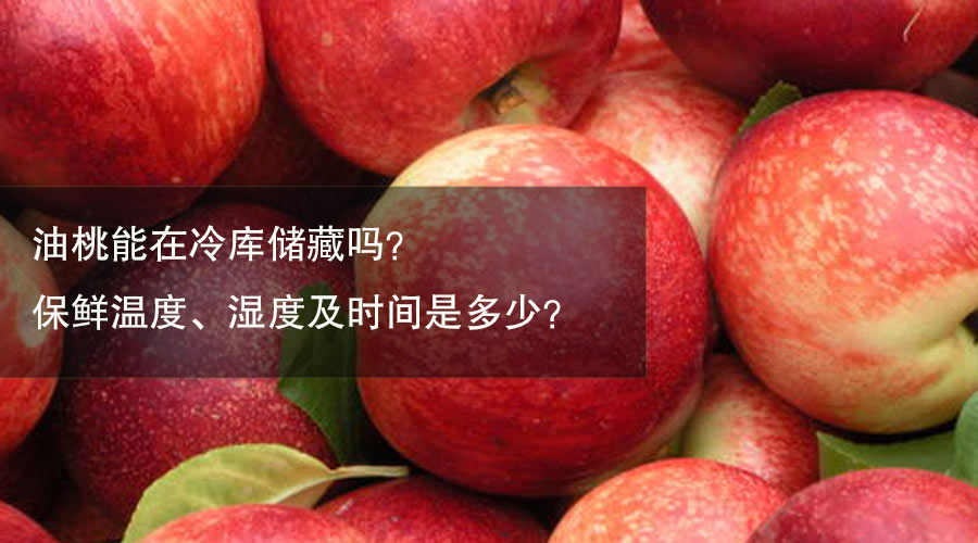 油桃冷库保鲜温度、湿度及时间介绍