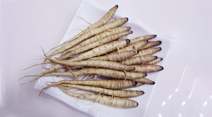 山丹黄参1000平米食品万博娱乐平台电脑版
建造方案