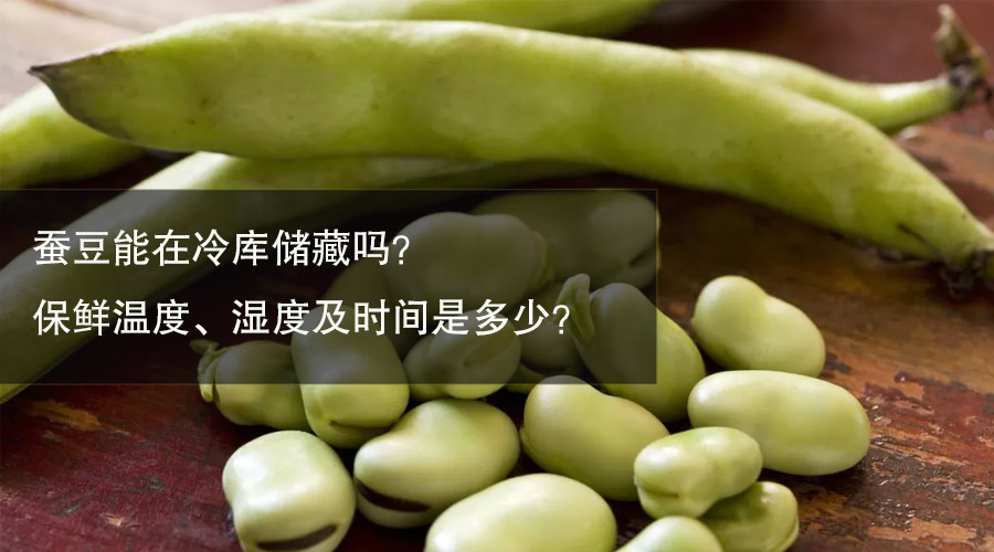 蚕豆冷库保鲜温度、湿度及时间介绍