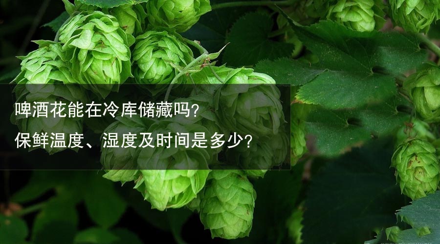 啤酒花冷库保鲜温度、湿度及时间介绍
