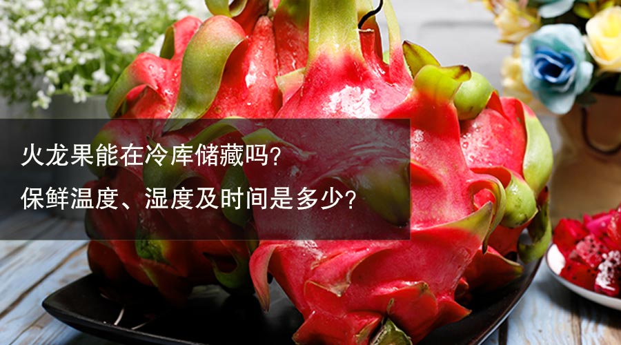 火龙果冷库保鲜温度、湿度及时间介绍