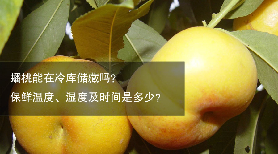 蟠桃冷库储藏保鲜温度、相对湿度及时间介绍