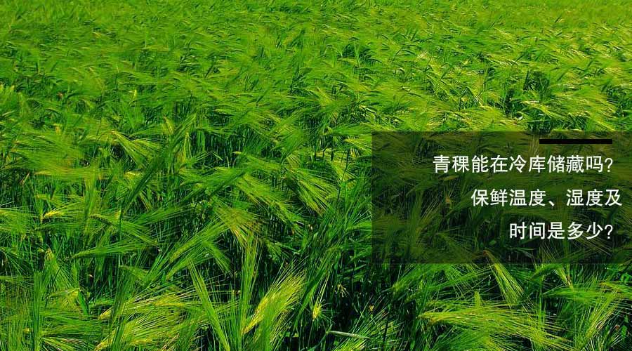 青稞冷库保鲜温度、湿度和时间介绍