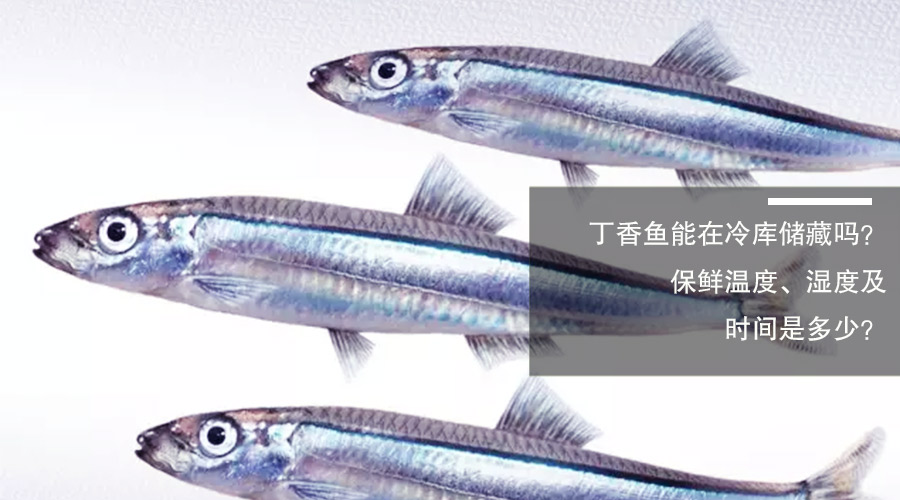 丁香鱼冷库保鲜温度、相对湿度及贮藏时间介绍