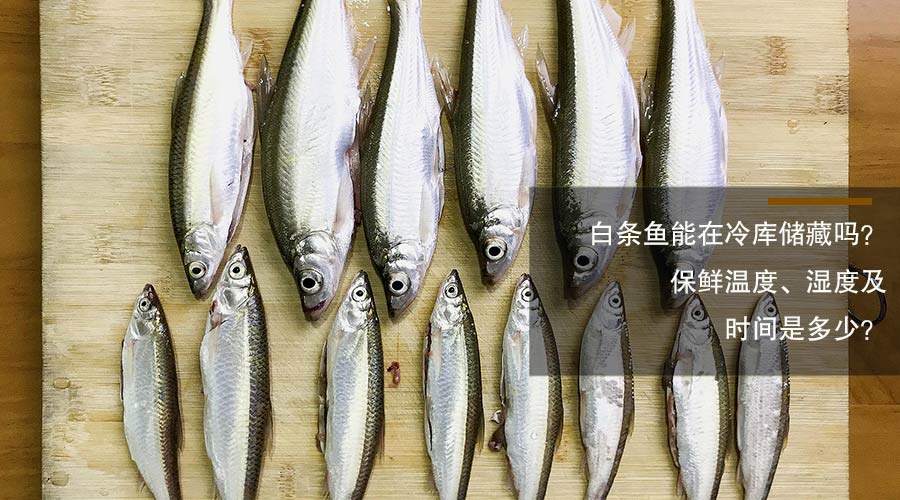 白条鱼冷库储藏温度、相对湿度及时间介绍
