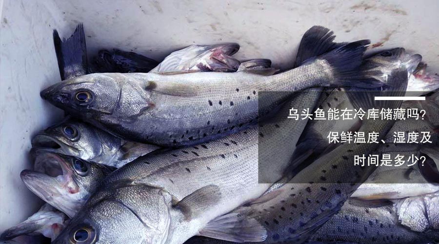 乌头鱼冷库储藏温度、相对湿度及贮藏时间介绍