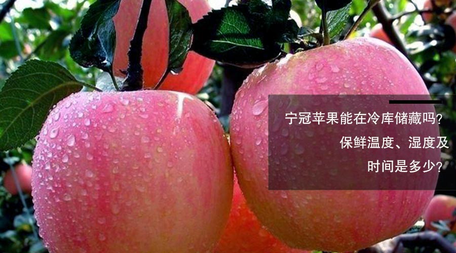 宁冠苹果冷库保鲜温度、相对湿度及贮藏时间介绍