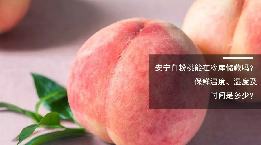 安宁白凤桃冷库保鲜温度、相对湿度及贮藏时间介绍