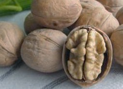 甘肃嘉峪关薄皮核桃250平米保鲜万博娱乐平台电脑版
方案