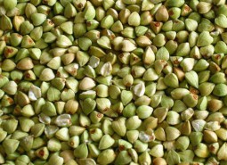 甘肃庆阳环县荞麦500平米冷藏库设计建造方案