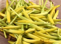 甘肃庆阳黄花菜500平米冷冻库设计建造方案