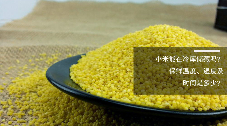 小米冷库保鲜温度、相对湿度及贮藏时间介绍