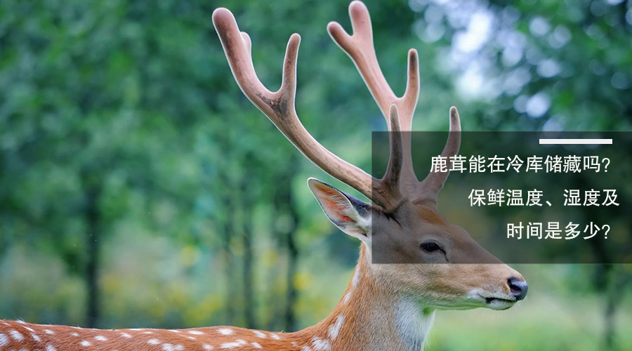 鹿茸冷库保鲜温度、相对湿度及贮藏时间介绍