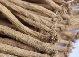 甘肃陇南宕昌党参700平米中药材阴凉库设计方案