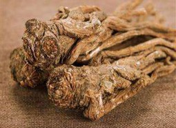 甘肃陇南宕昌县哈达铺当归1200平米中药材阴凉库设计方案