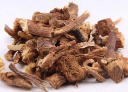 甘肃陇南武都红芪500平米中药材阴凉库设计方案