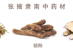 甘肃张掖肃南中药材650平米中药材万博娱乐平台电脑版
建造方案