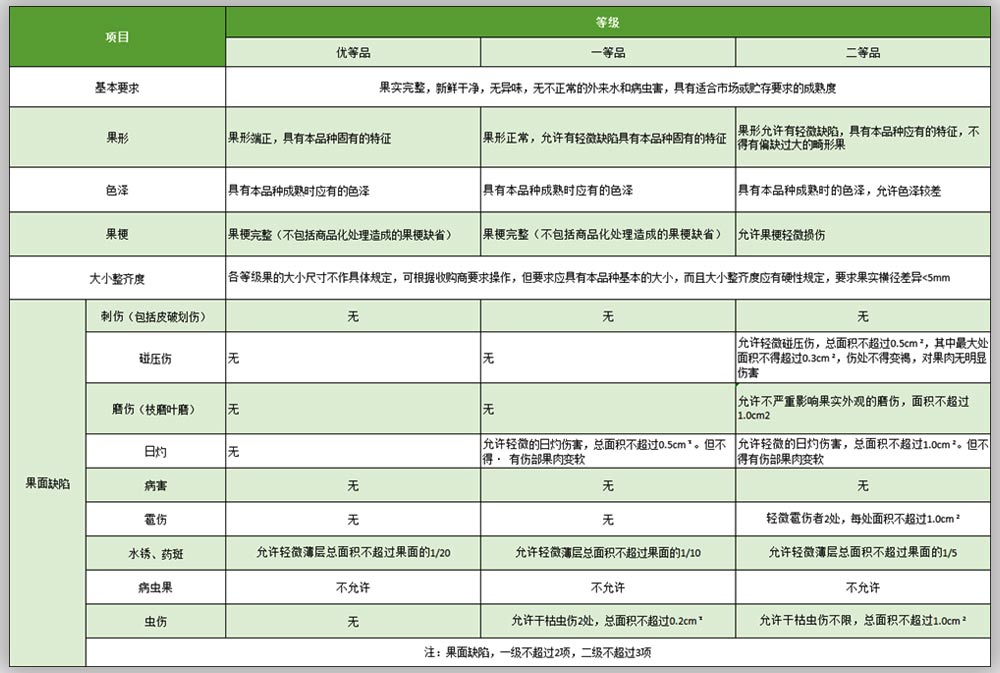 梨子分级标准
