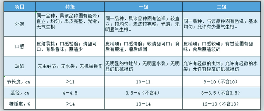 甘蔗放冷库前分级