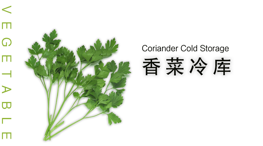 香菜冷库保方法介绍