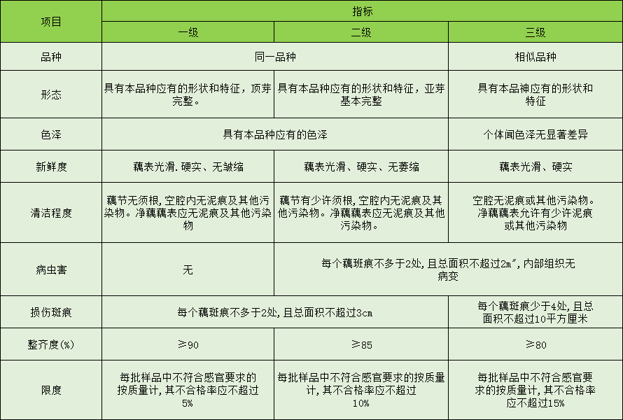 莲藕放冷库前分级标准
