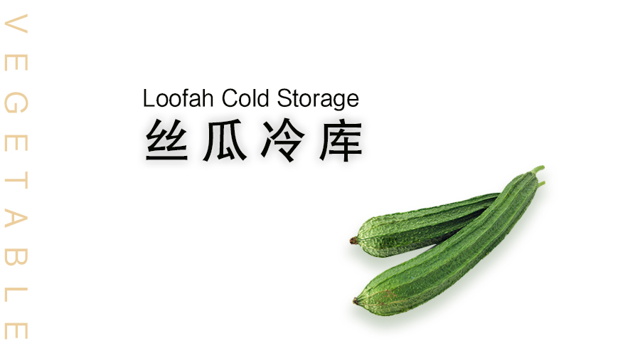 丝瓜冷库保存方法