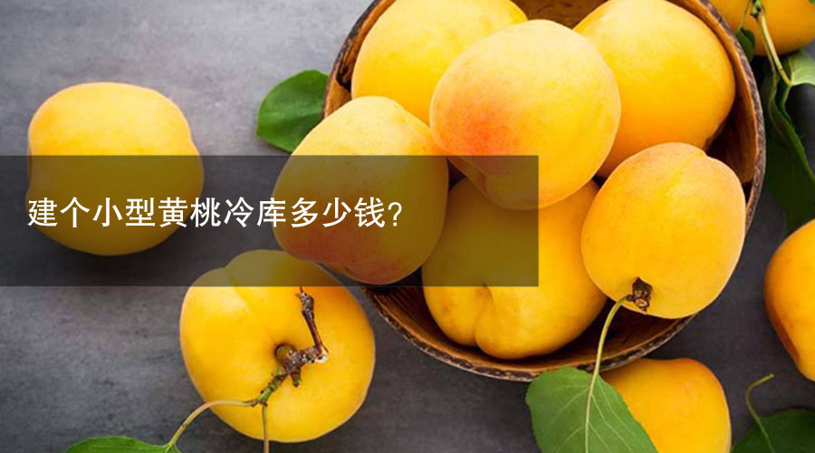 小型黄桃冷库多少钱？