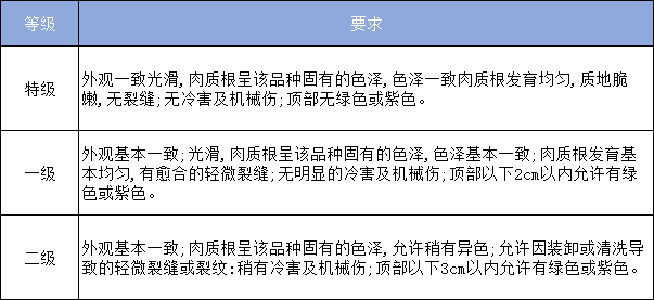 胡萝卜放冷库前分级标准