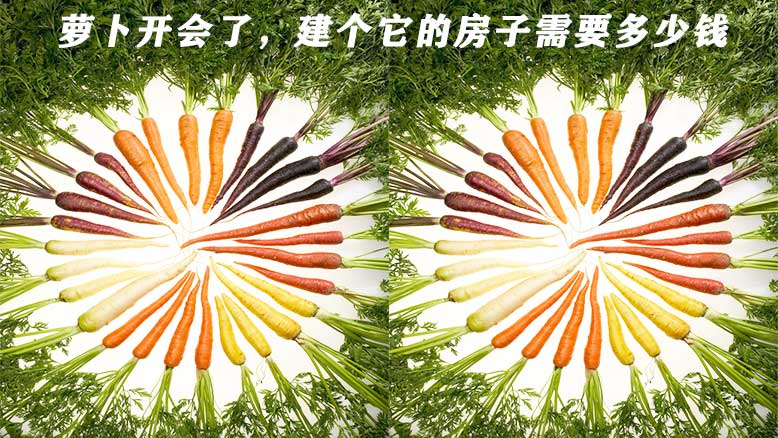 安装胡萝卜冷库价格是多少？