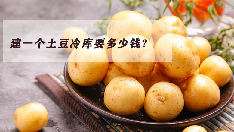 安装土豆（马铃薯）冷库价格是多少？