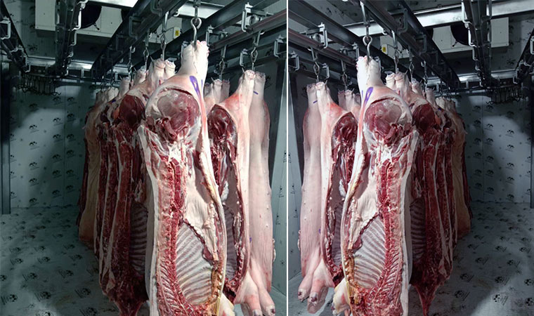 猪肉冷库内部照片展示