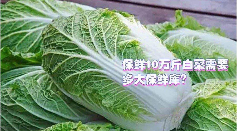 保鲜10万斤白菜需要多大保鲜库?