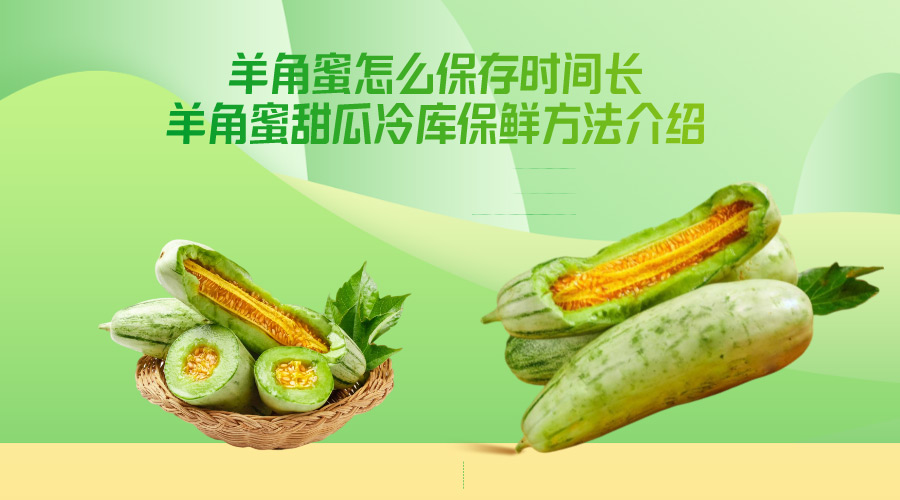 羊角蜜冷库怎么保存时间长？保鲜温湿度要求是多少？
